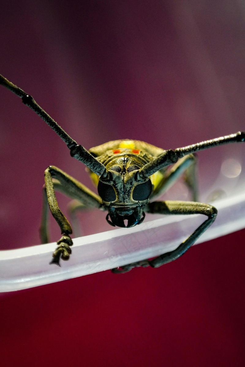 神秘微观世界的探索者