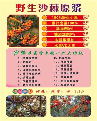 野生沙棘原浆果汁海报设计