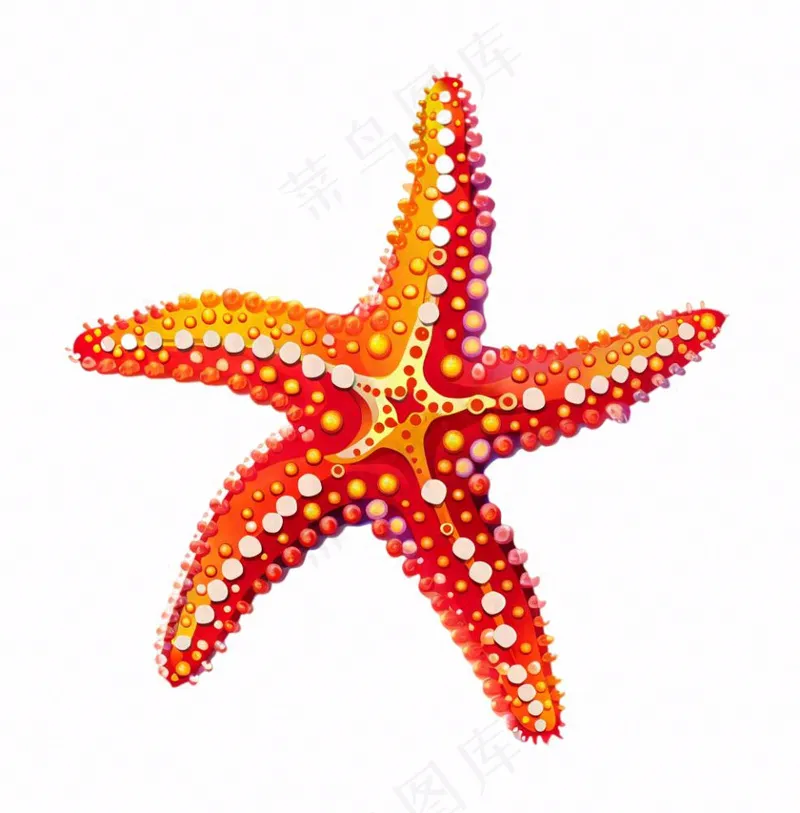 海星海洋卡通插画免抠(1024x1040)