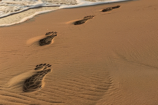 海滩上的脚印浪花摄影图