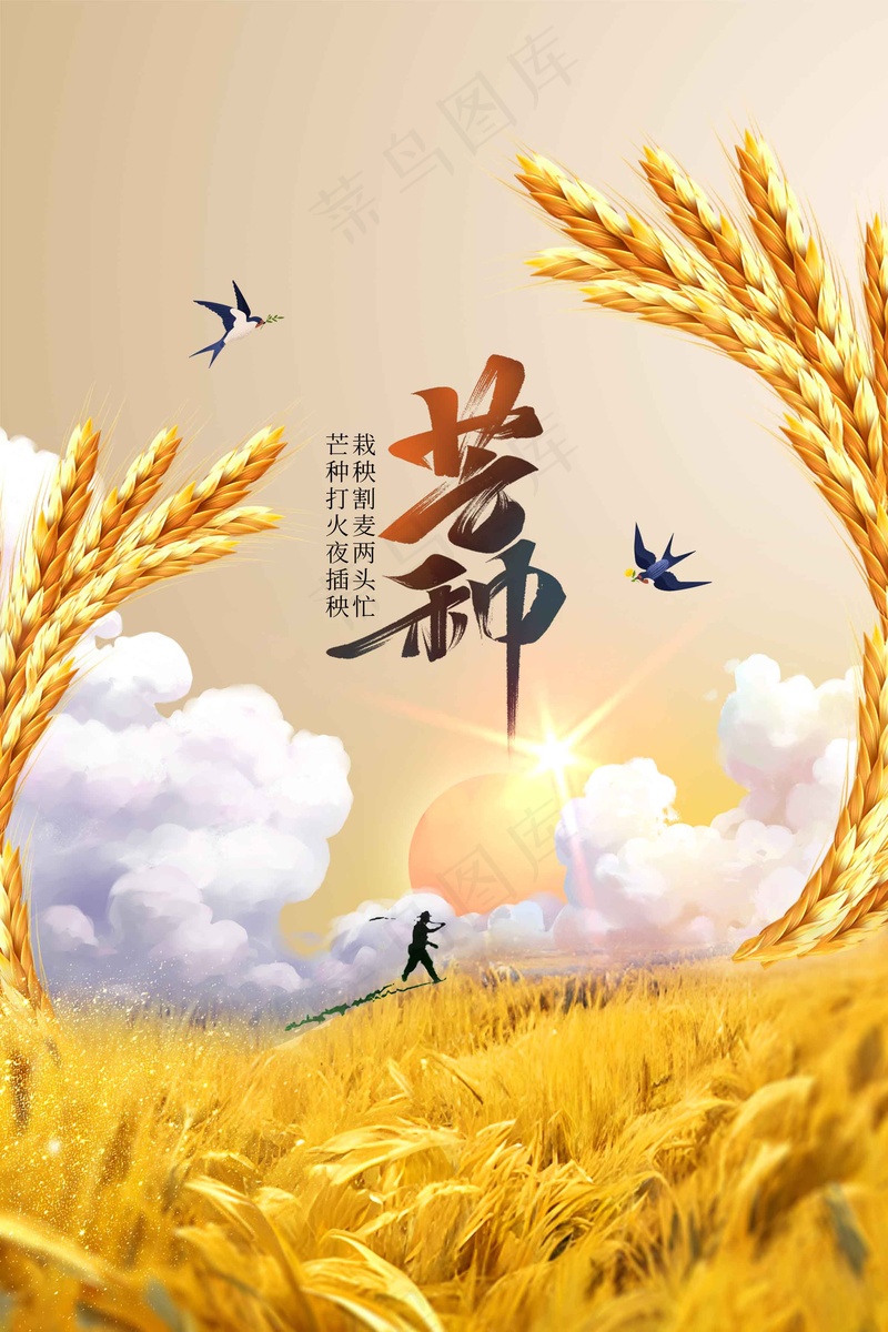 芒种节气传统活动海报psd模版下载
