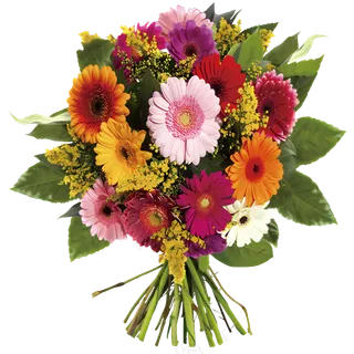 免抠的雏菊花束