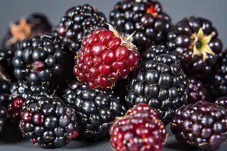 树莓水果摄影图