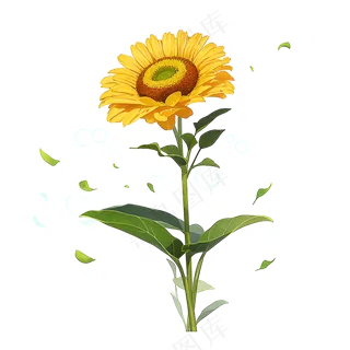 黄色向日葵免抠素材89