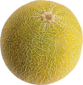 一个成熟的哈密瓜