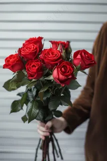 玫瑰花鲜花花朵摄影图