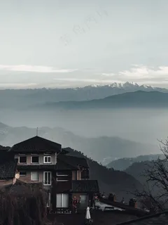 云雾森林图片 云雾森林图片