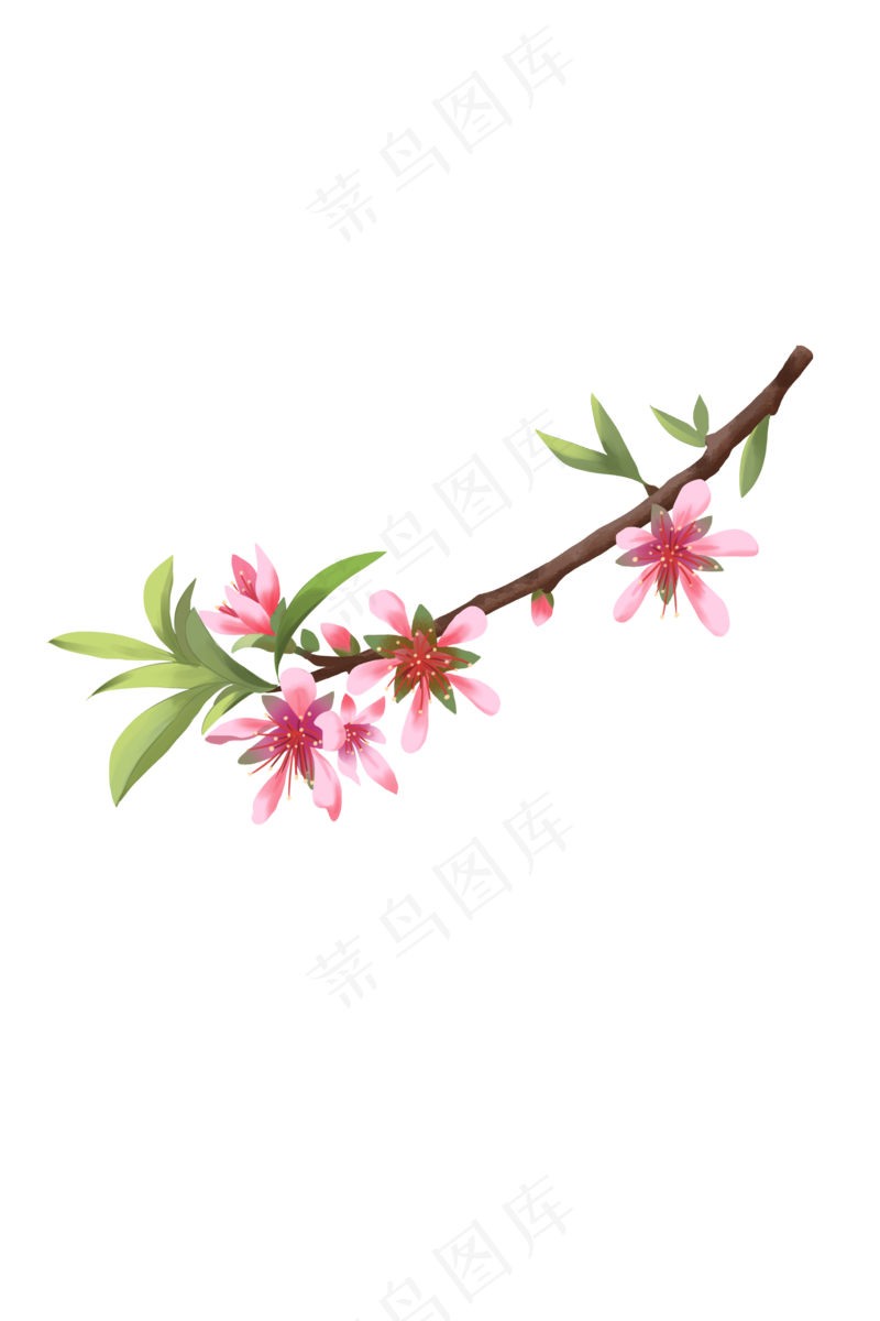 春天的海棠花元素