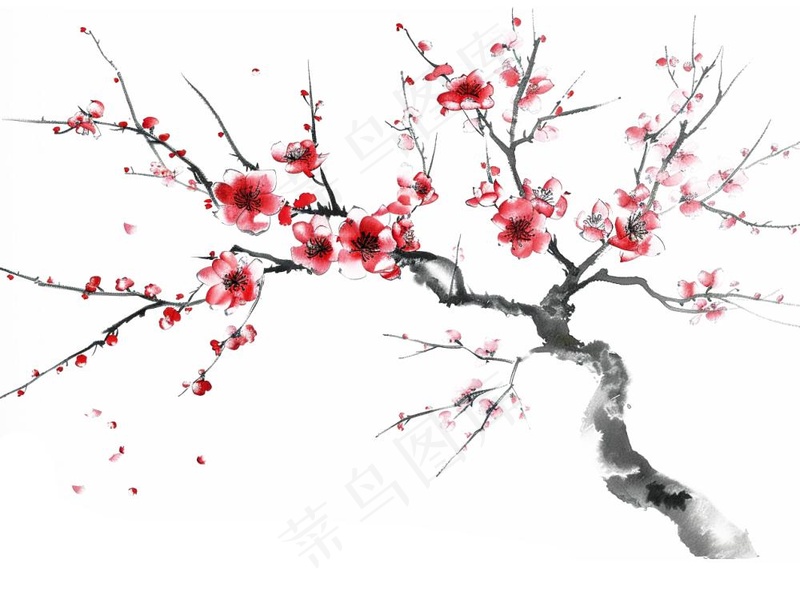 梅花寒梅水墨画中国风插画免抠(1264x960)