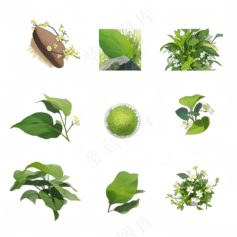 手绘练习小植物花草系列2