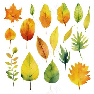 秋天落叶黄叶水彩画卡通插画免抠