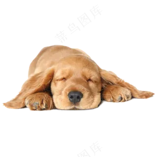 免抠趴着睡觉的小狗