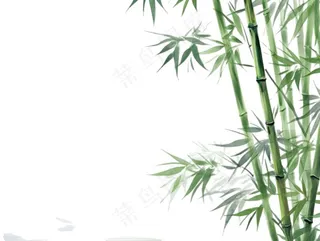 竹林竹子水墨画墨绿插画免抠