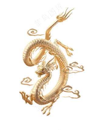 金龙 免扣图片