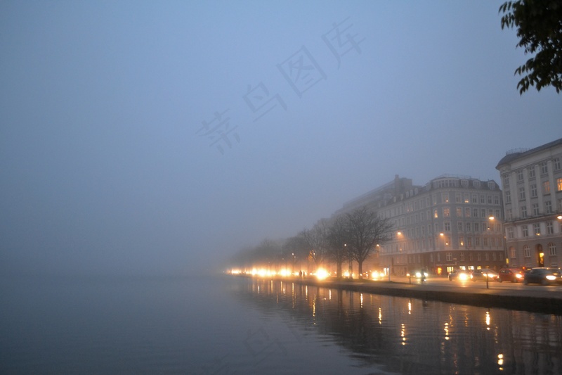 云雾森林图片