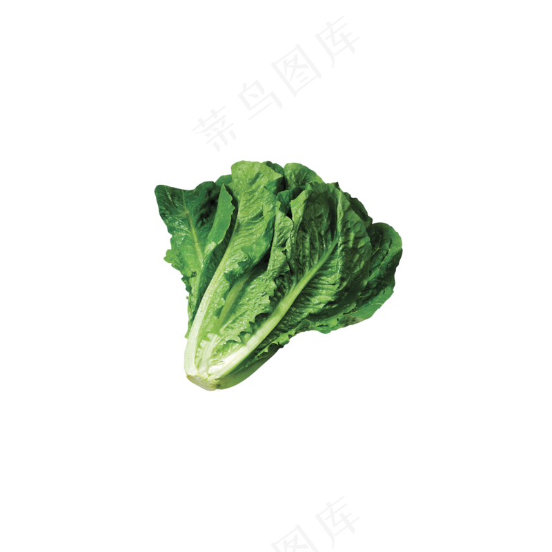 免抠一颗躺着的生菜