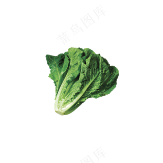 免抠一颗躺着的生菜