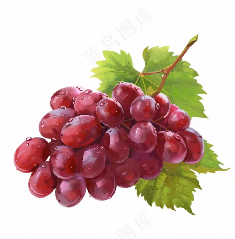 葡萄水果卡通插画免抠(1024x1040)