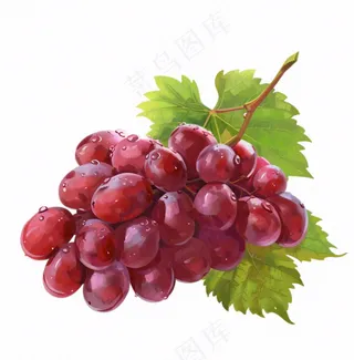 葡萄水果卡通插画免抠