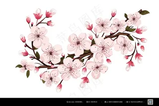 樱花树枝素材