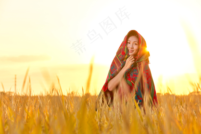 稻田稻穗图片