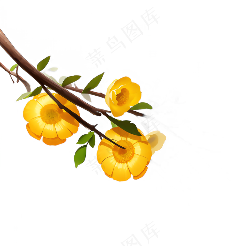 黄色 唯美 手绘 免抠 PNG 花 植物 素材29
