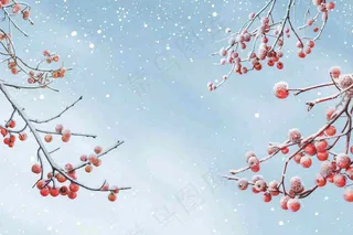 冬天白雪覆盖的红色果实白霜霜降小雪大雪水彩插画背景