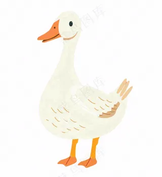大白鸭鸭子牲畜动物卡通插画免抠