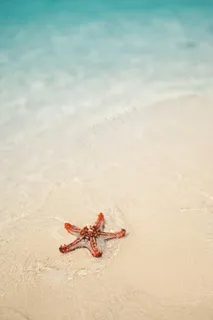 浅滩上的五彩斑斓