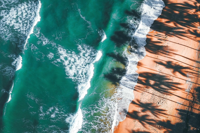 碧海金沙与棕榈树影