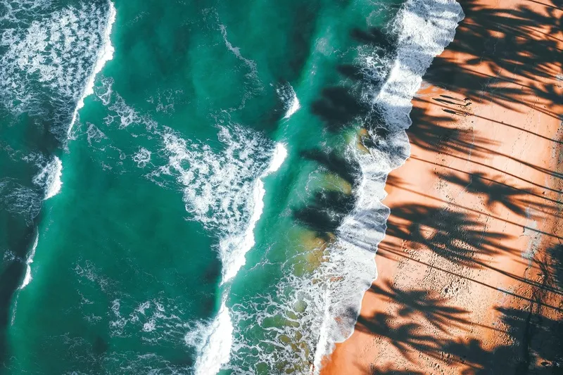 碧海金沙与棕榈树影