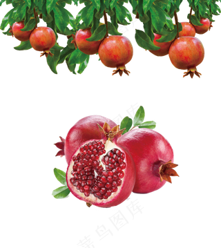 石榴 免抠  红石榴 果肉