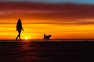 夕阳落日下遛狗的人海边沙滩晚霞摄影图