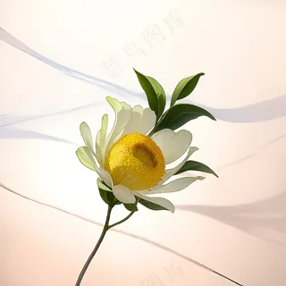 白色黄色手绘新中式风格花植物72 白色黄色手绘新中式风格花植物72