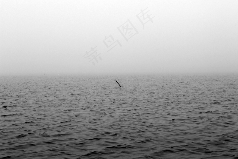 云雾森林图片