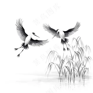 仙鹤白鹤飞过水草芦苇水墨画插画免抠