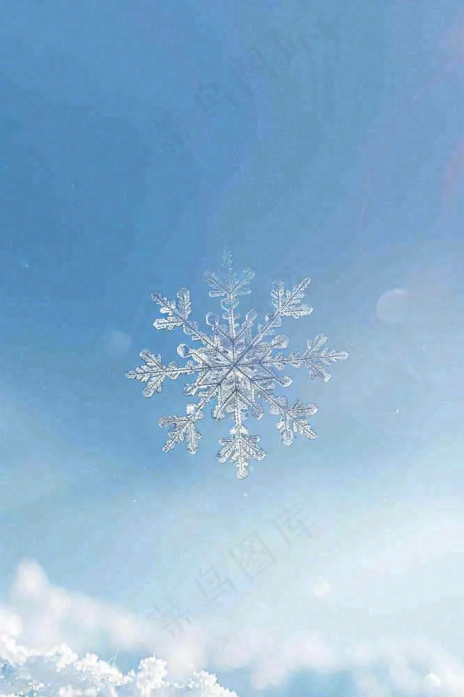 冬天雪花蓝色背景立冬冬至背景(896x1344)