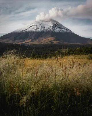 雪山与草地之歌