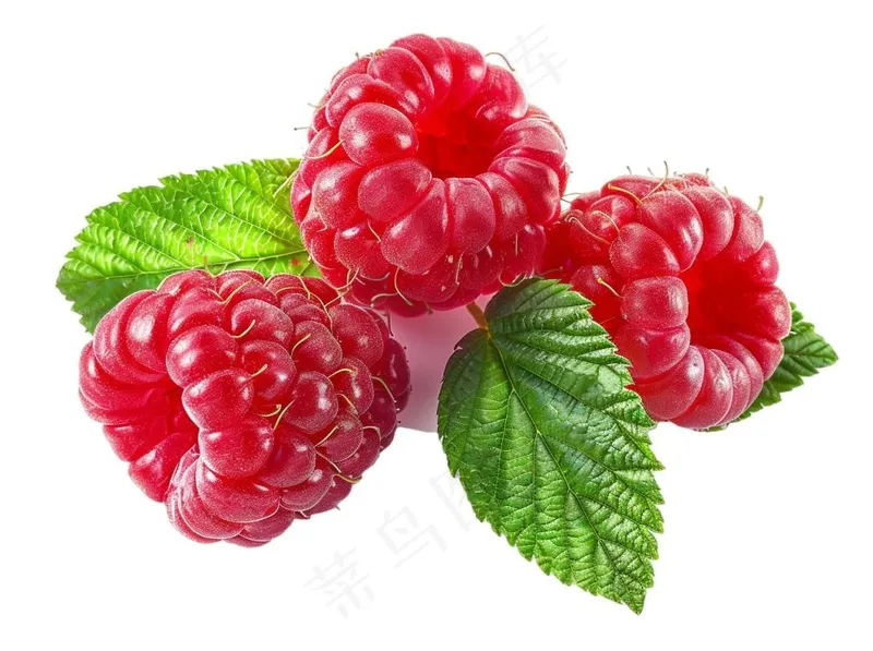 树莓水果摄影图免抠(1264x944)