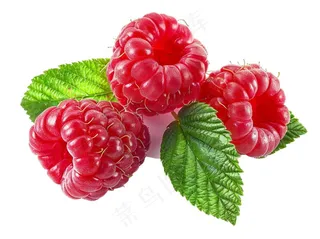 树莓水果摄影图免抠