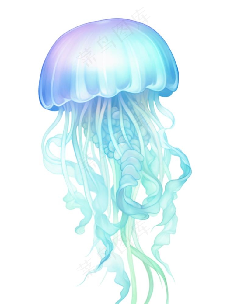 水母海洋海鲜蓝紫色梦幻卡通插画免抠