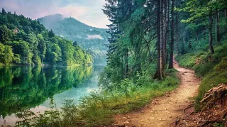 森林湖泊山林小路高山摄影图