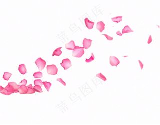 粉色花瓣飘落免抠