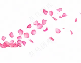 粉色花瓣飘落免抠
