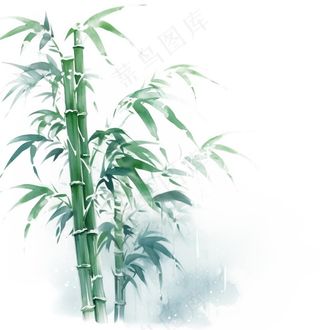 水墨竹子山石植物手绘中国风古风国画水彩插画免抠