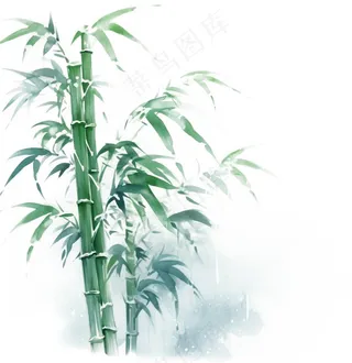 水墨竹子山石植物手绘中国风古风国画水彩插画免抠