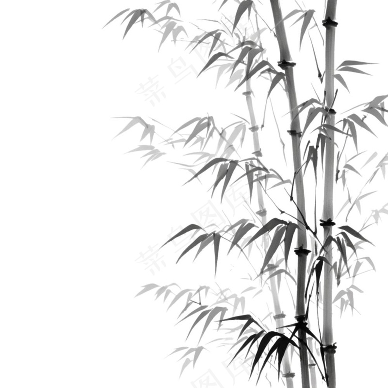 竹林竹叶水墨画古风黑白插画免抠(1024x1024)