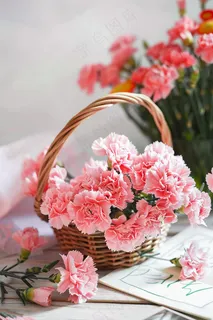 康乃馨鲜花花束摄影图
