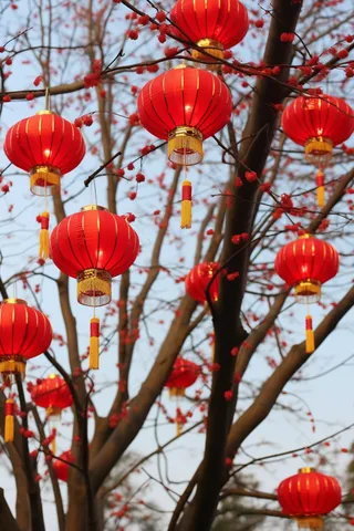 新年树梢挂着红灯笼喜庆摄影图