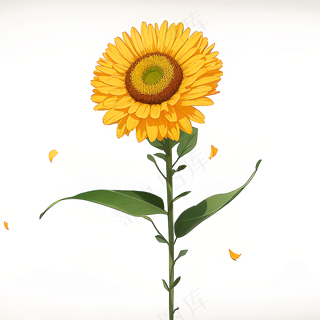 黄色向日葵免抠素材34